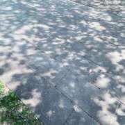 ヒメ日記 2026/04/29 13:35 投稿 ゆな CLASSY.名古屋・新栄店