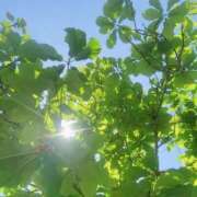 ヒメ日記 2026/05/05 12:50 投稿 ゆな CLASSY.名古屋・新栄店