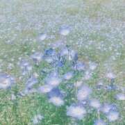 ヒメ日記 2026/05/08 23:50 投稿 ゆな CLASSY.名古屋・新栄店