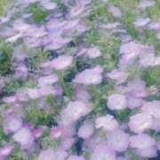 ヒメ日記 2026/05/09 23:20 投稿 ゆな CLASSY.名古屋・新栄店
