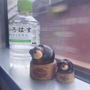 ヒメ日記 2026/05/12 12:31 投稿 ゆな CLASSY.名古屋・新栄店