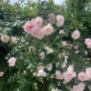 ヒメ日記 2026/06/08 12:20 投稿 ゆな CLASSY.名古屋・新栄店