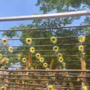 ヒメ日記 2026/07/25 08:50 投稿 ゆな CLASSY.名古屋・新栄店