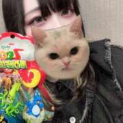 ヒメ日記 2025/03/14 19:40 投稿 みゆ スピードエコ天王寺店