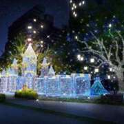 ヒメ日記 2024/12/11 22:07 投稿 白鳥　真理 こあくまな熟女たち 広島店（KOAKUMAグループ）