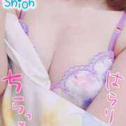 ヒメ日記 2025/08/04 21:30 投稿 望月　しおん エテルナ彦根