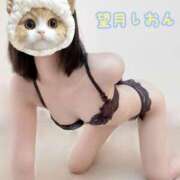 ヒメ日記 2025/09/11 20:30 投稿 望月　しおん エテルナ彦根