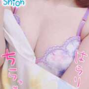 ヒメ日記 2026/03/29 14:12 投稿 望月　しおん エテルナ彦根