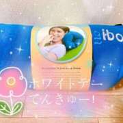 ヒメ日記 2026/03/26 19:07 投稿 まどか Sナース女学園