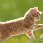 ヒメ日記 2025/02/22 11:24 投稿 高見沢　まお エテルナ京都