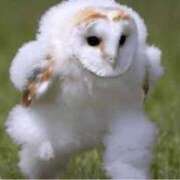 ヒメ日記 2025/04/29 10:09 投稿 高見沢　まお エテルナ京都