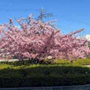 高見沢　まお 10時間🐑💤 エテルナ京都