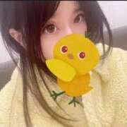 ヒメ日記 2025/11/02 00:03 投稿 かなみ Club Paradise（クラブパラダイス）