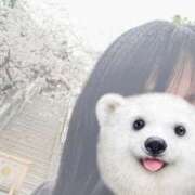 ヒメ日記 2025/03/28 16:14 投稿 ちぐさ 濃厚即19妻