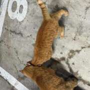 ヒメ日記 2025/06/03 15:45 投稿 ちぐさ 濃厚即19妻