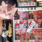 ヒメ日記 2025/07/24 07:44 投稿 ちぐさ 濃厚即19妻