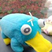 ふみの やっちゃったー😭😱 松本人妻隊