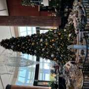 ヒメ日記 2024/12/24 11:24 投稿 大桃かれん ローテンブルク