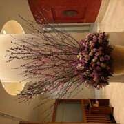 ヒメ日記 2025/02/10 23:55 投稿 大桃かれん ローテンブルク