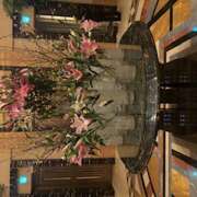 ヒメ日記 2025/02/11 09:48 投稿 大桃かれん ローテンブルク