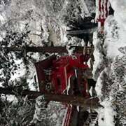 ヒメ日記 2025/02/11 23:02 投稿 大桃かれん ローテンブルク