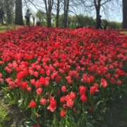 ヒメ日記 2025/02/15 18:54 投稿 大桃かれん ローテンブルク