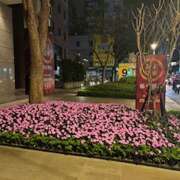 ヒメ日記 2025/02/22 06:47 投稿 大桃かれん ローテンブルク