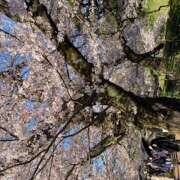 ヒメ日記 2025/03/23 06:28 投稿 大桃かれん ローテンブルク