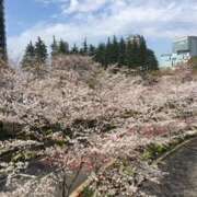 ヒメ日記 2025/03/31 08:18 投稿 大桃かれん ローテンブルク