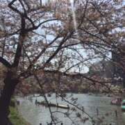 ヒメ日記 2025/04/05 09:59 投稿 大桃かれん ローテンブルク