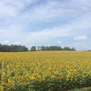 ヒメ日記 2025/04/16 05:49 投稿 大桃かれん ローテンブルク