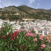 ヒメ日記 2025/05/08 22:13 投稿 大桃かれん ローテンブルク