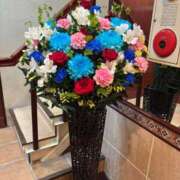 ヒメ日記 2026/02/12 12:30 投稿 大桃かれん ローテンブルク