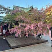 ヒメ日記 2026/03/11 17:11 投稿 大桃かれん ローテンブルク