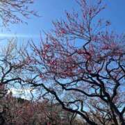 ヒメ日記 2026/03/12 22:24 投稿 大桃かれん ローテンブルク