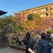 ヒメ日記 2026/03/18 11:46 投稿 大桃かれん ローテンブルク