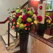 ヒメ日記 2026/04/09 12:18 投稿 大桃かれん ローテンブルク