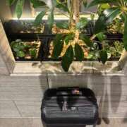 ヒメ日記 2026/06/18 12:06 投稿 大桃かれん ローテンブルク