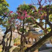 ヒメ日記 2025/02/17 08:49 投稿 みさき 完熟ばなな 谷九店