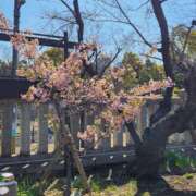 ヒメ日記 2025/03/23 08:49 投稿 みさき 完熟ばなな 谷九店