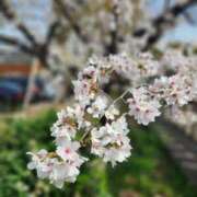 ヒメ日記 2025/04/02 08:39 投稿 みさき 完熟ばなな 谷九店