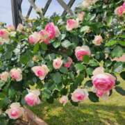 ヒメ日記 2025/05/13 08:49 投稿 みさき 完熟ばなな 谷九店