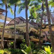 ヒメ日記 2025/05/23 15:35 投稿 Mio Sakurai ELEGANT－エレガント－