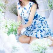 Mio Sakurai ? ５月のシフト ? ELEGANT－エレガント－