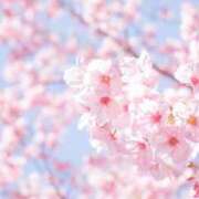 ヒメ日記 2025/03/26 09:28 投稿 あまみ 熟女家 堺東店