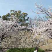 ヒメ日記 2025/04/09 09:35 投稿 あまみ 熟女家 堺東店