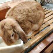 ヒメ日記 2025/07/02 09:17 投稿 あまみ 熟女家 堺東店