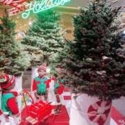 ヒメ日記 2025/12/23 14:27 投稿 あまみ 熟女家 堺東店