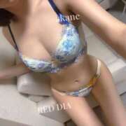 ヒメ日記 2024/12/15 11:29 投稿 あかね 神栖レッドダイヤ