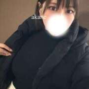 ヒメ日記 2024/12/19 19:03 投稿 あかね 神栖レッドダイヤ